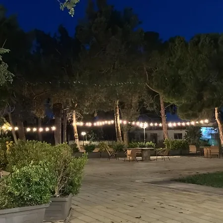 Bosco Elda-2